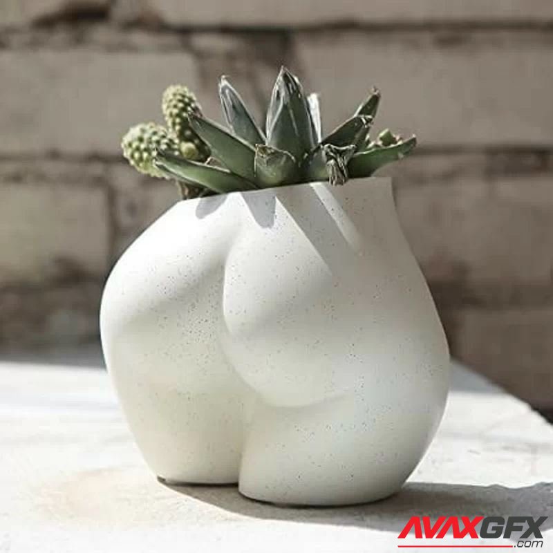 Woman Butt Succulent Vase