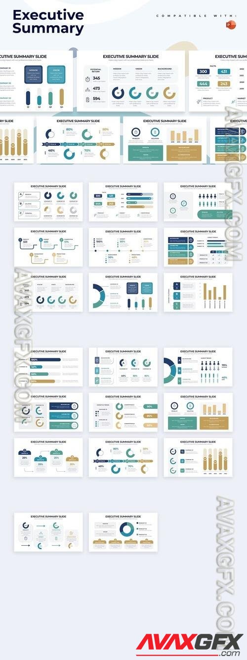 Business Executive Summary PowerPoint Infographics