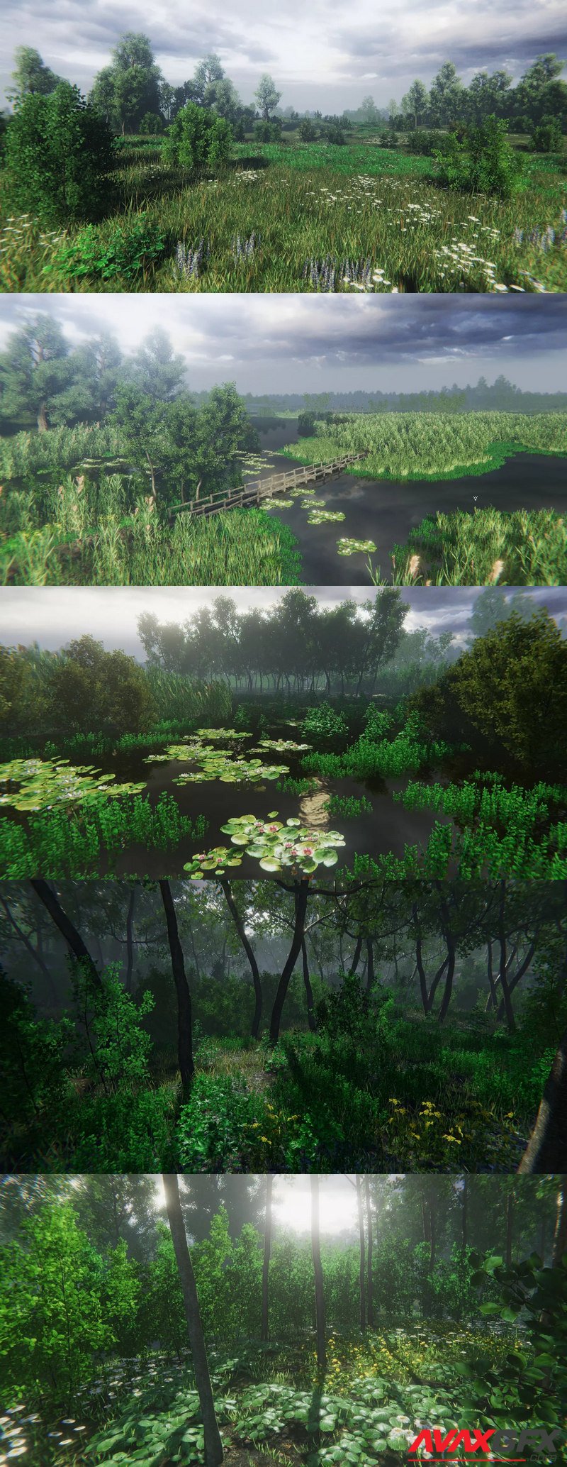 Nature Package - Swamp, Forest Environment