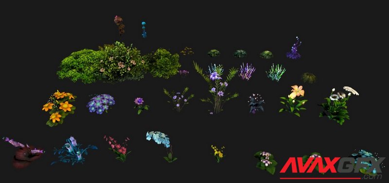 Plants Pack Set