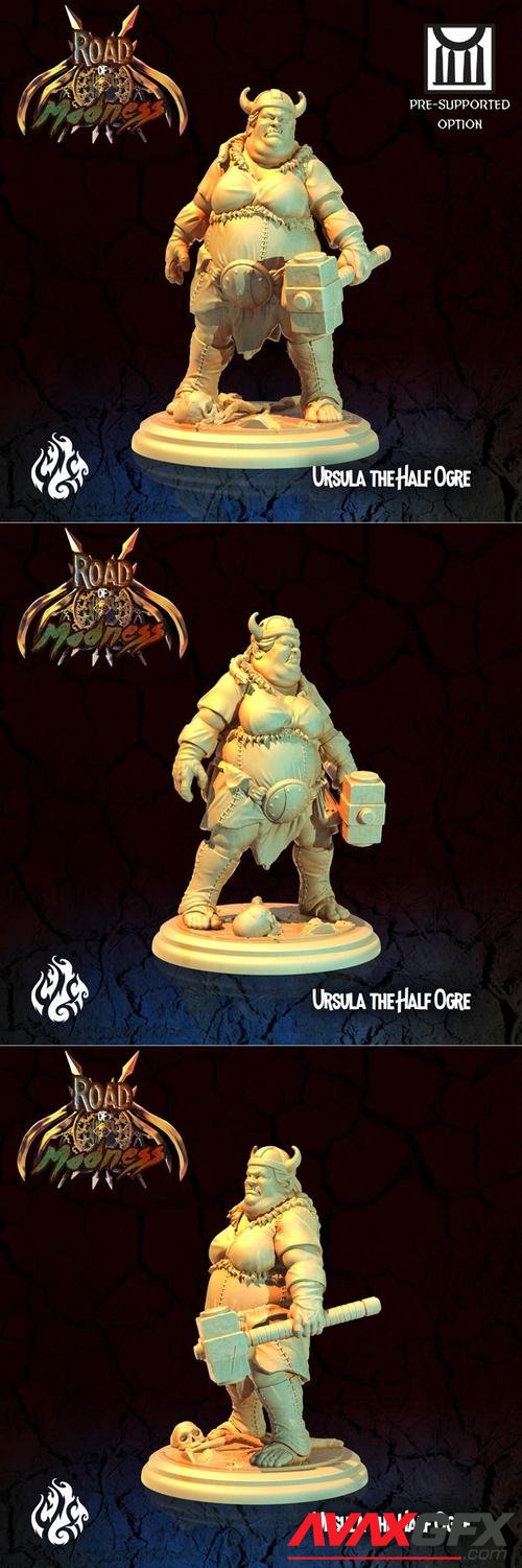 Ursula the Half Ogre Bandit – 3D Print