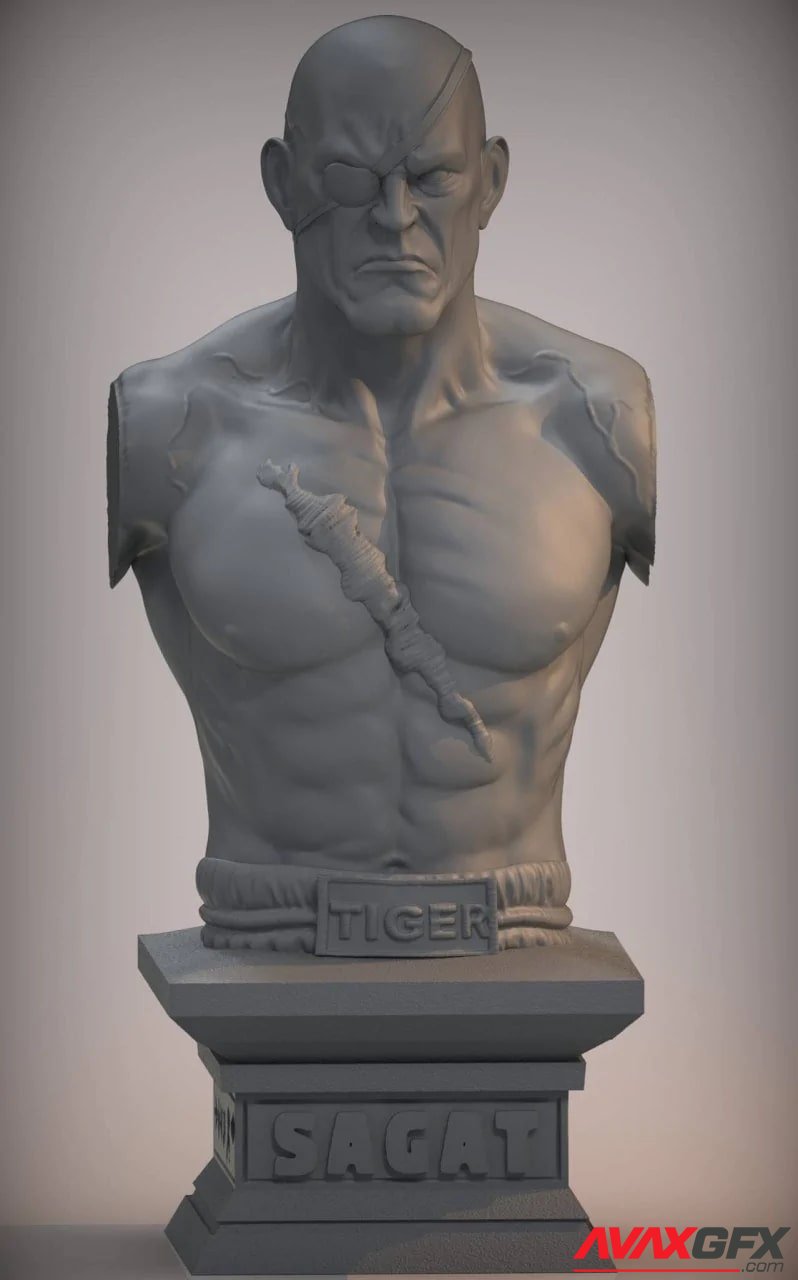 Street Fighter - Sagat Bust - 3D Print Model