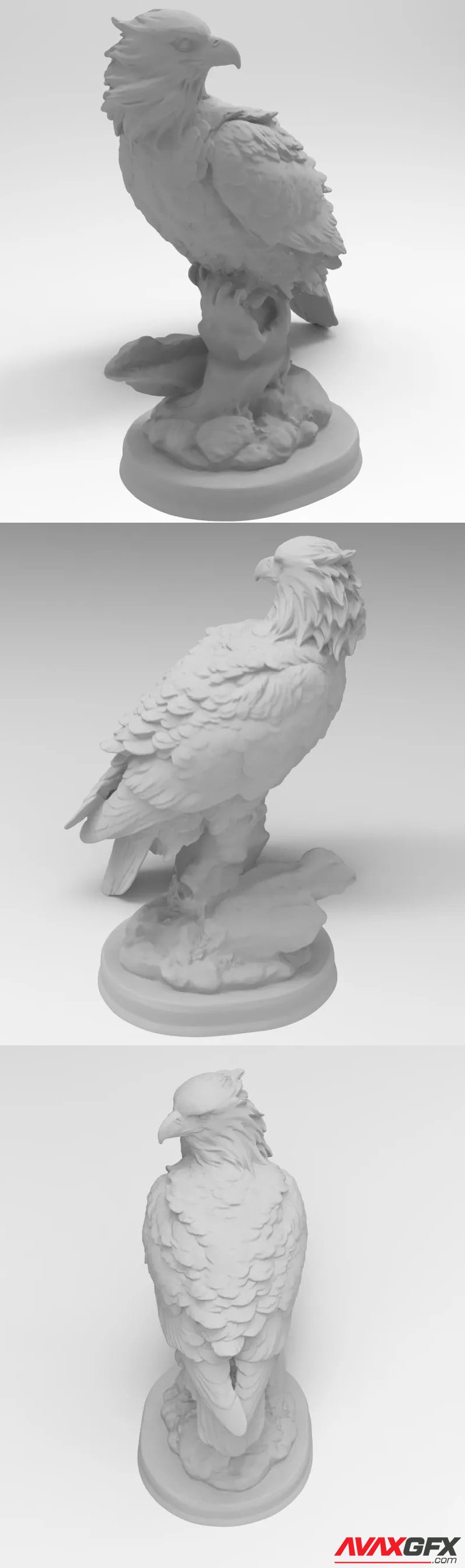 Falcon - 3D Print Model