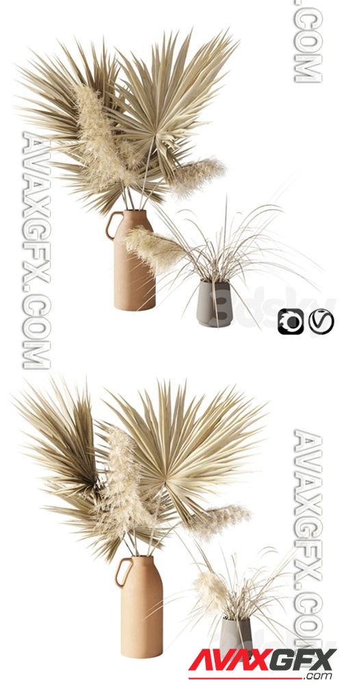 Dry palms and pampas 3D Model