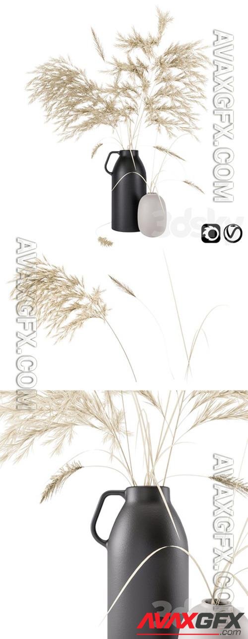 Vases set by H & M with pampas grass 3D Model