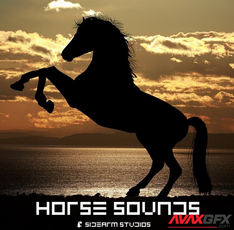 Horse Sounds Pro