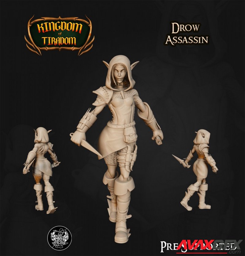 Kingdom of Tiradom - Drow Assassin - 3D Print Model