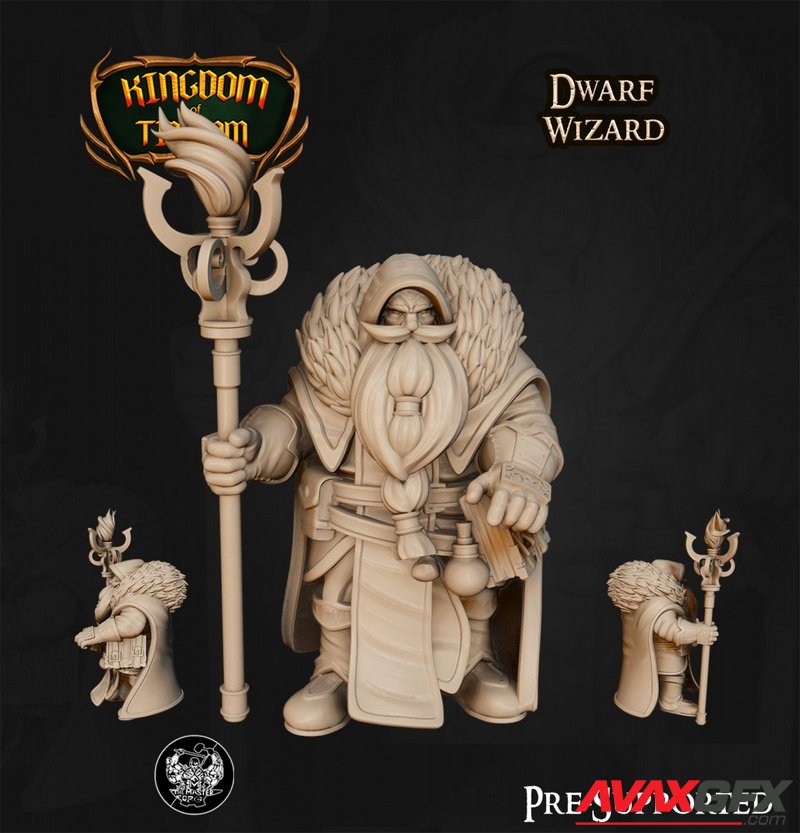Kingdom of Tiradom - Dwarf Wizard - 3D Print Model