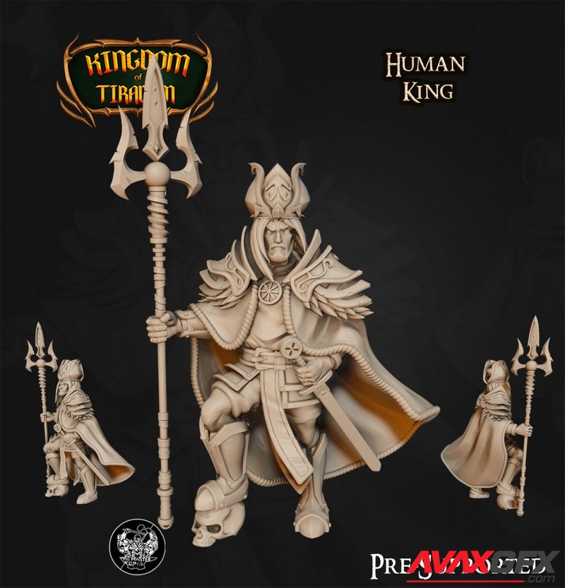 Kingdom of Tiradom - Human King - 3D Print Model