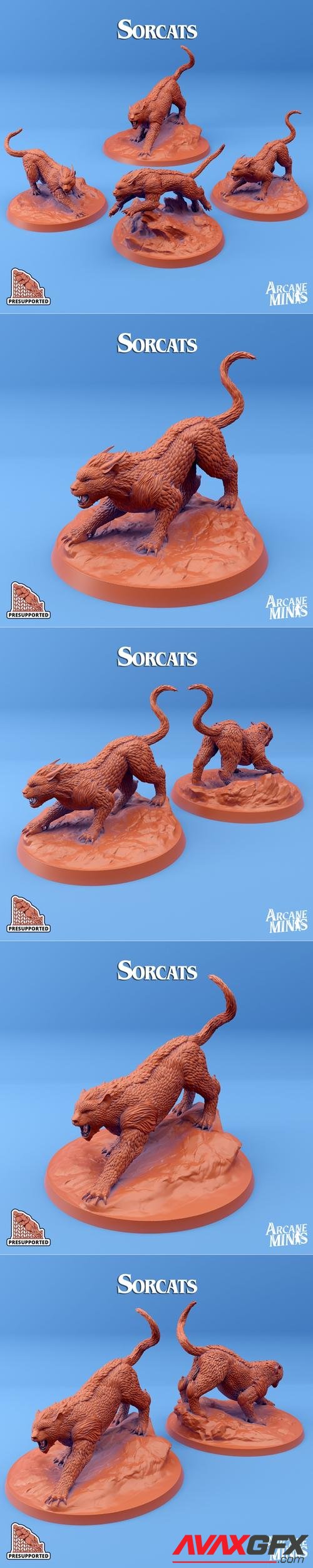 Arcane Minis - Sorcats – 3D Print