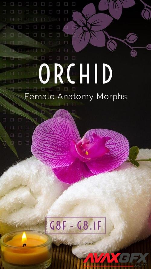 Orchid - Genital Morphs for G8F Anatomy