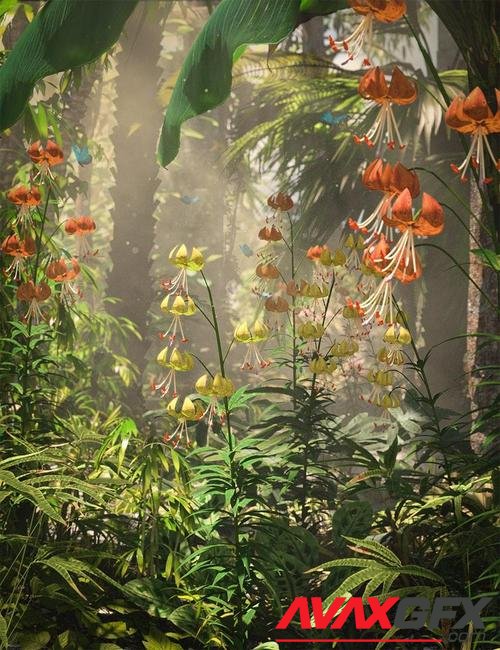 Turk's Cap Lilies