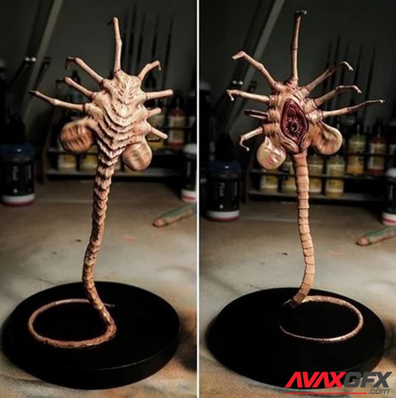 Alien Facehugger