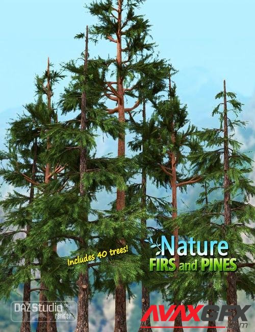 Nature - Firs and Pines