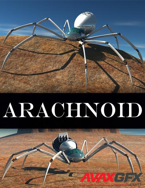 Arachnoid