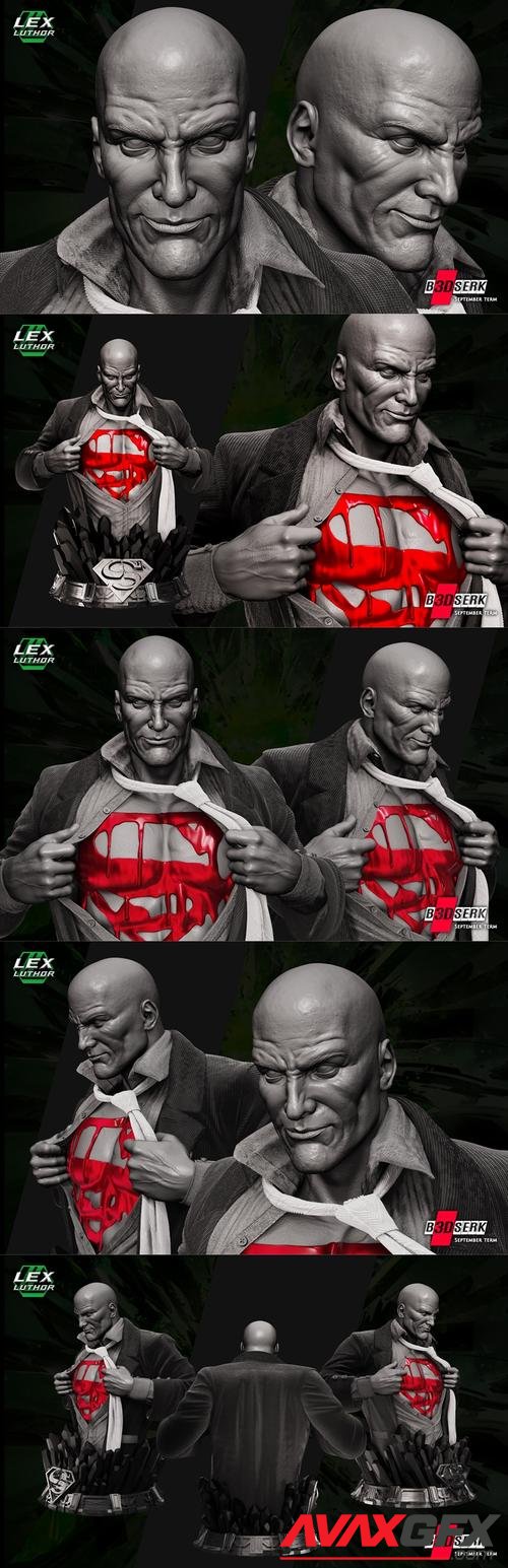 B3DSERK - Lex Luthor Bust – 3D Print