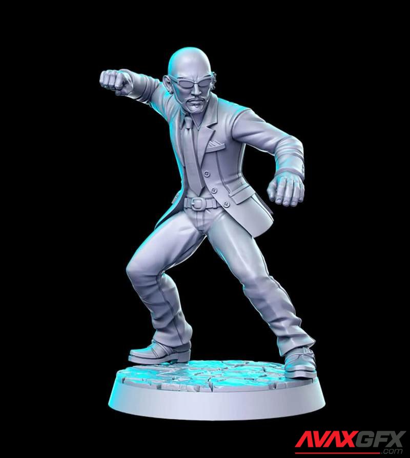 The Professional (Corporate Hitman) - 3D Print Model