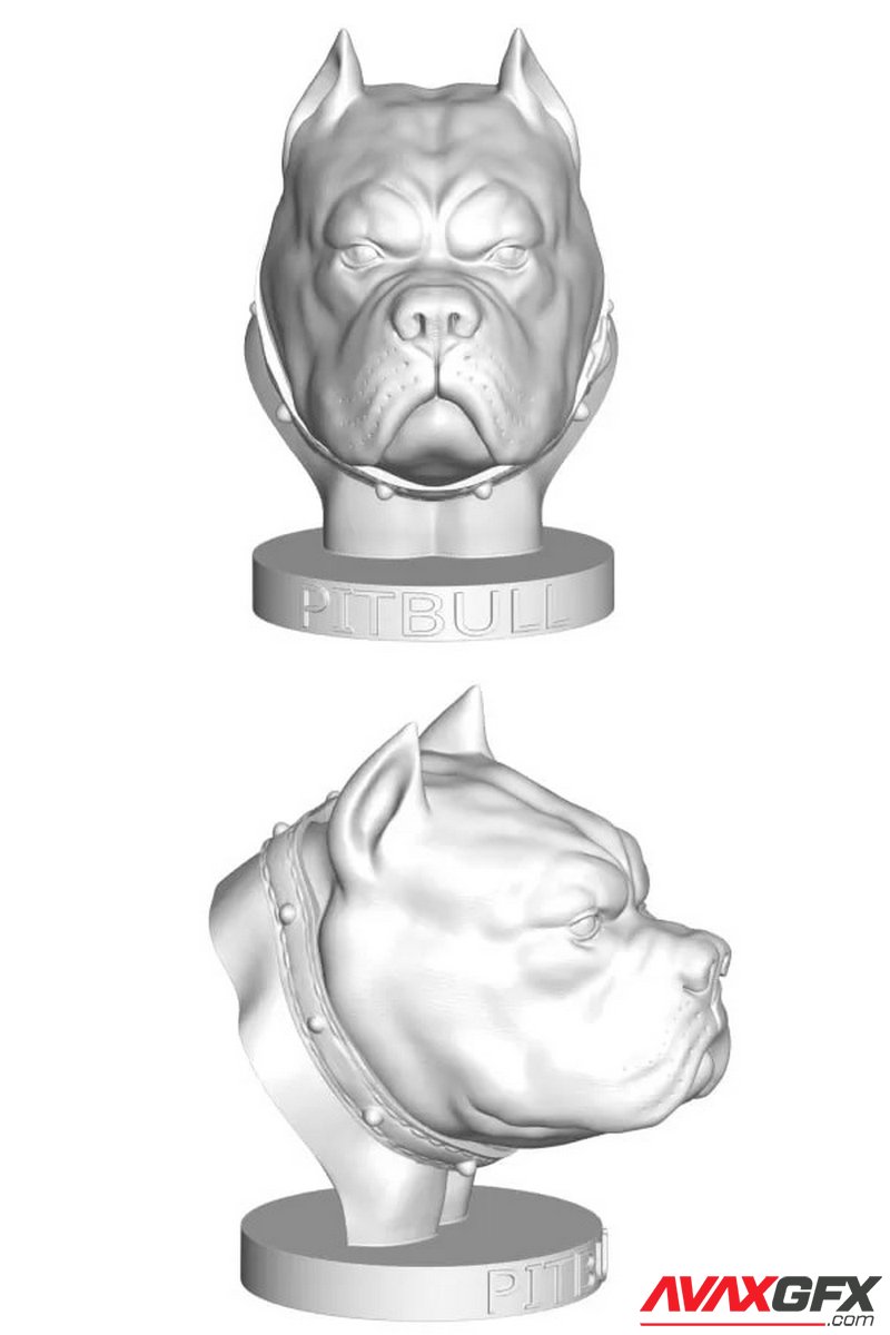 Pitbull Head Bust - 3D Print Model