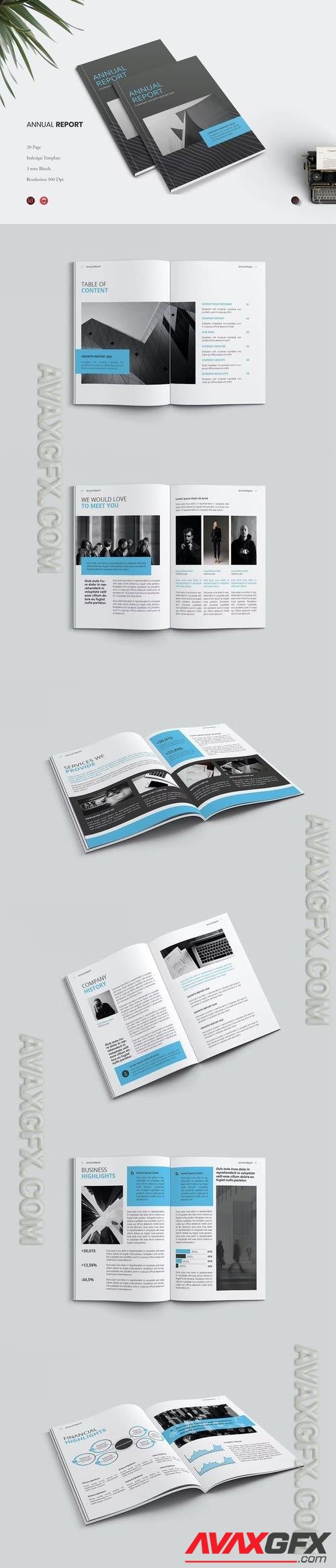 Company Annual Report