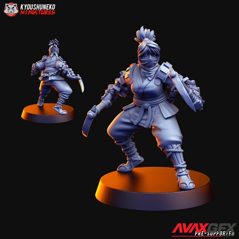 Ninja Unit 1 - 3D Print Model