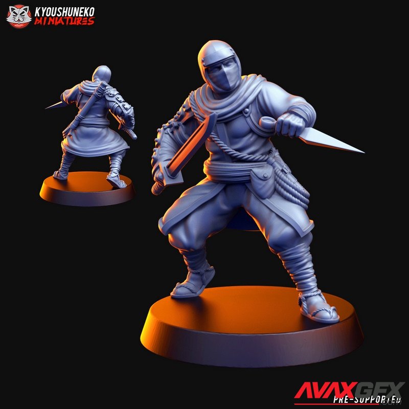 Ninja Unit 3 - 3D Print Model