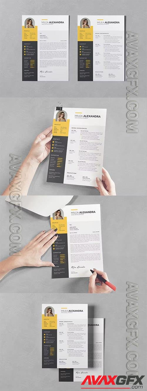 Resume CV PSD