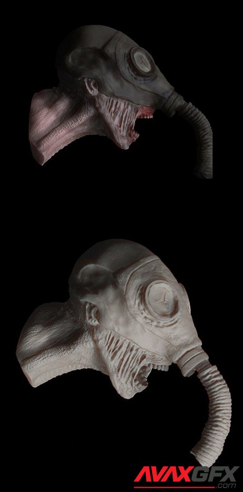 Snork Head - 3D Print Model