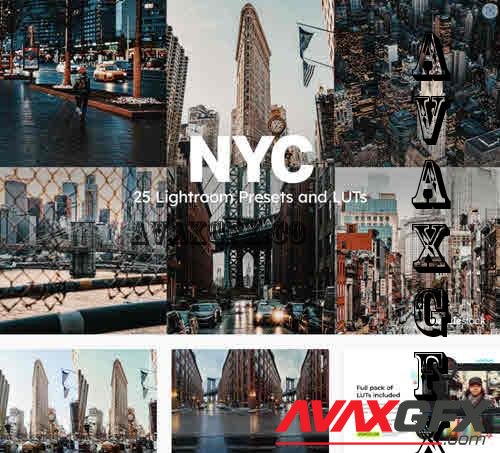 25 NYC Lightroom Presets and LUTs - 10859972