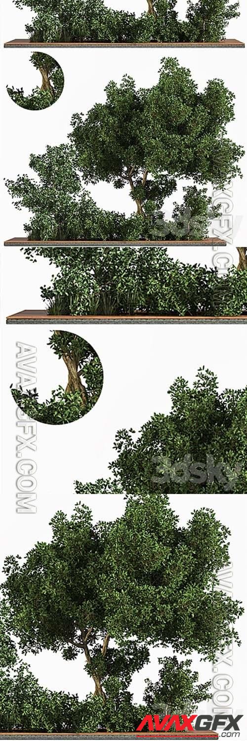 Garden set Grass & Tree 3D Models