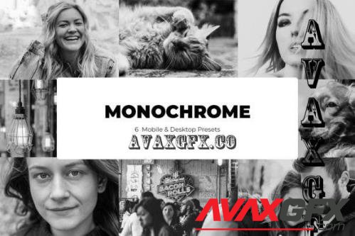 6 Monochrome Lightroom Presets - Mobile & Desktop