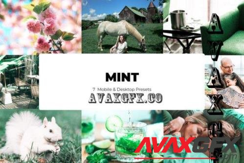 7 Mint Lightroom Presets - Mobile & Desktop