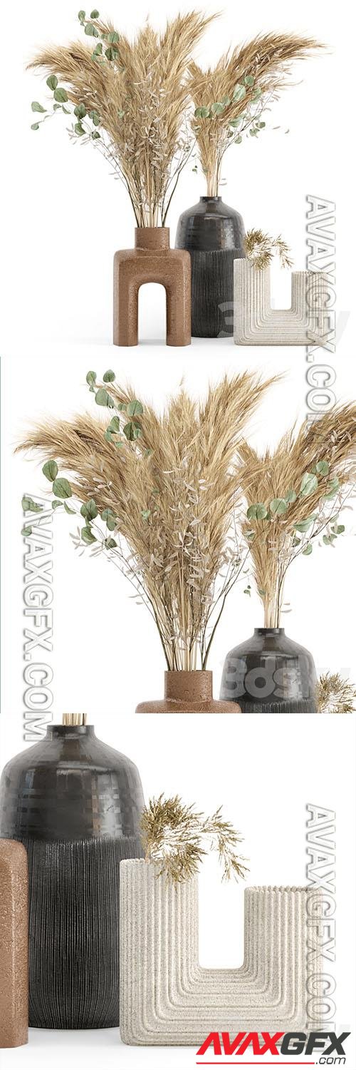Dry plants 19 – Dried Plantset Pampas with Concrete vase 3D Models