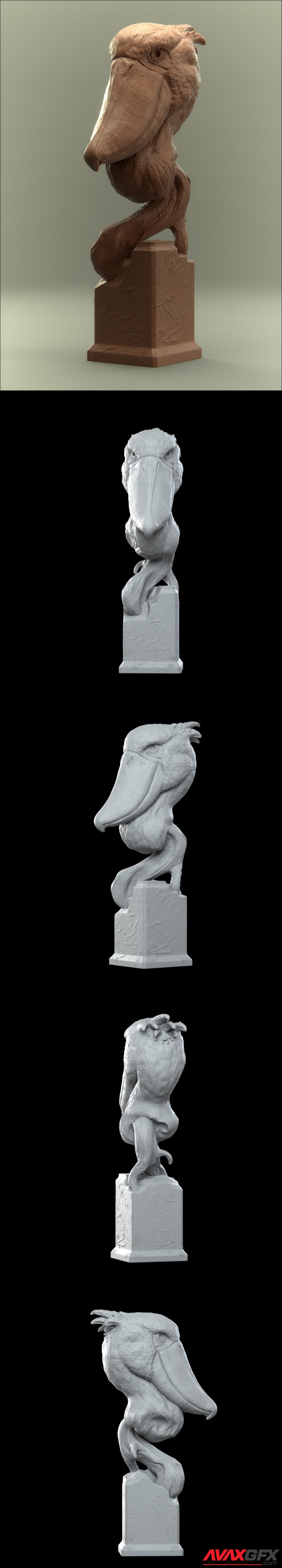 Savanna Bust Shoebill - 3D Print Model STL