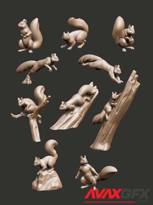 Critters - Squirrels – 3D Print