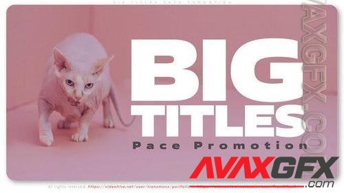 Big Titles Pace Promotion 41431831