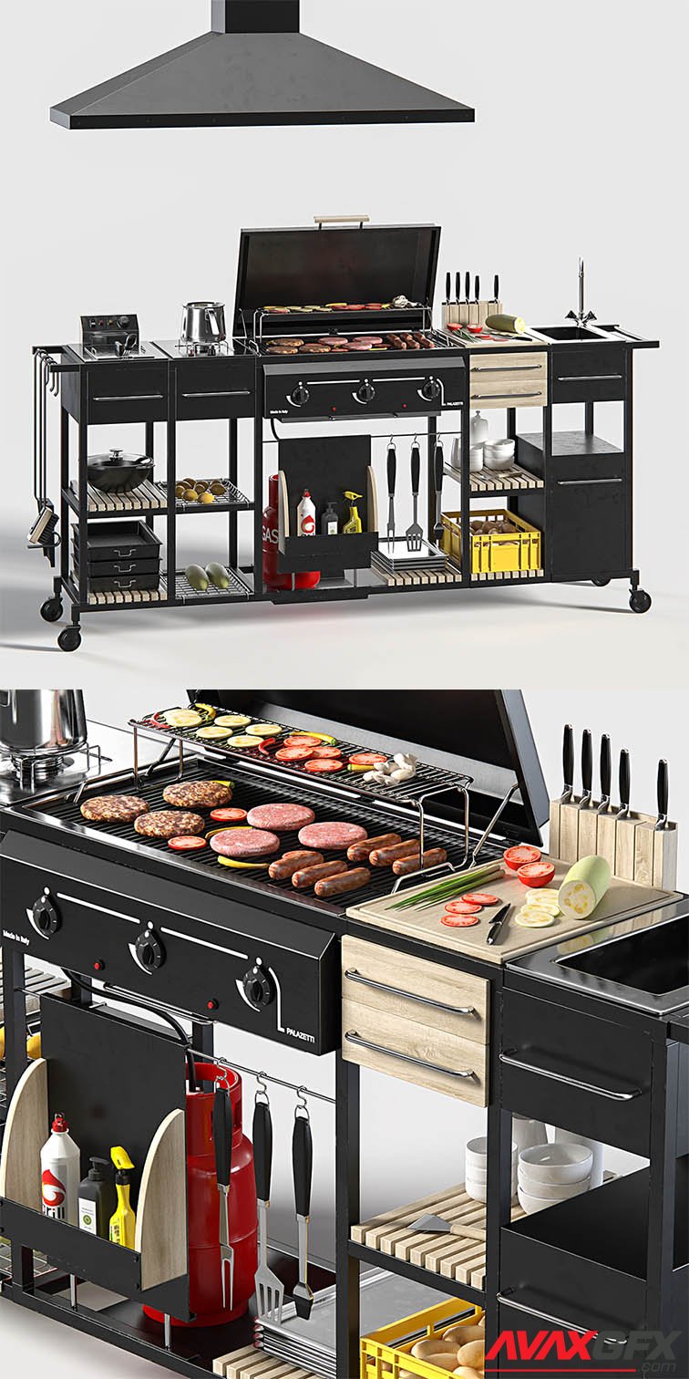 Gas Grill Mr Chef 3D