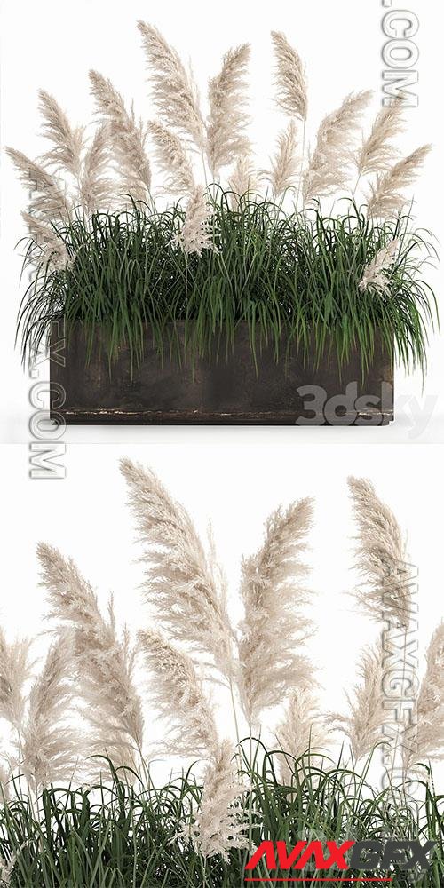 Plant Collection 1033 3D Models