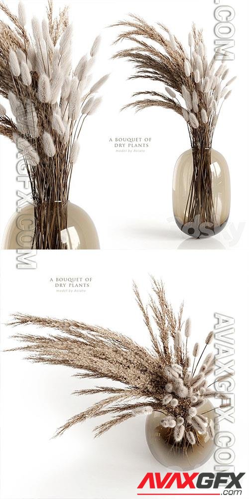 A bouquet of dry plants 3D Models