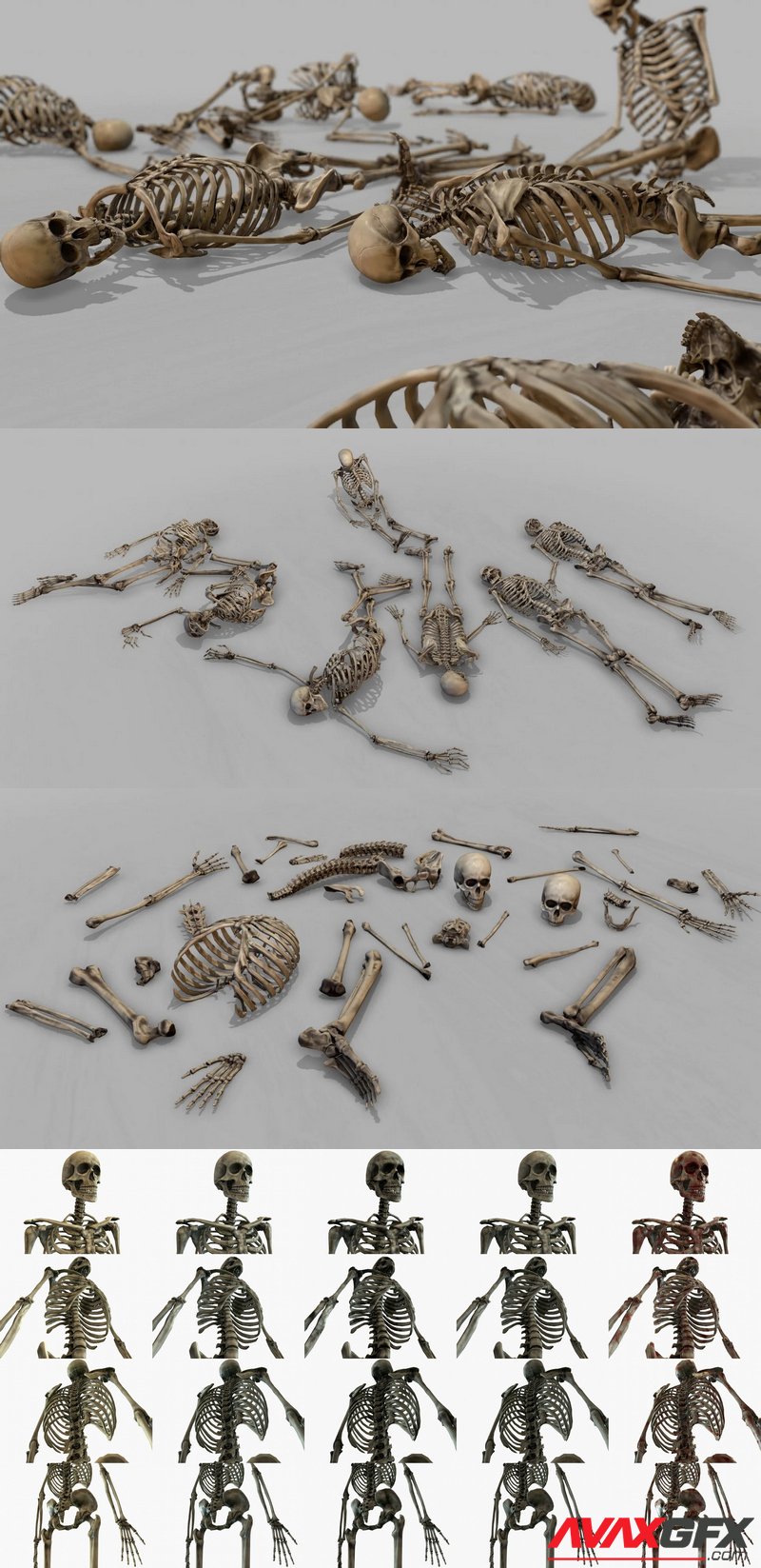 Modular Human Skeleton