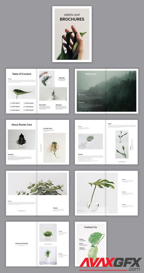 Adobestock - Green Leaf Brochure 530140226