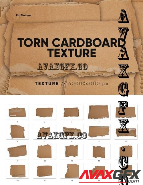 20 Torn Cardboard Textures 