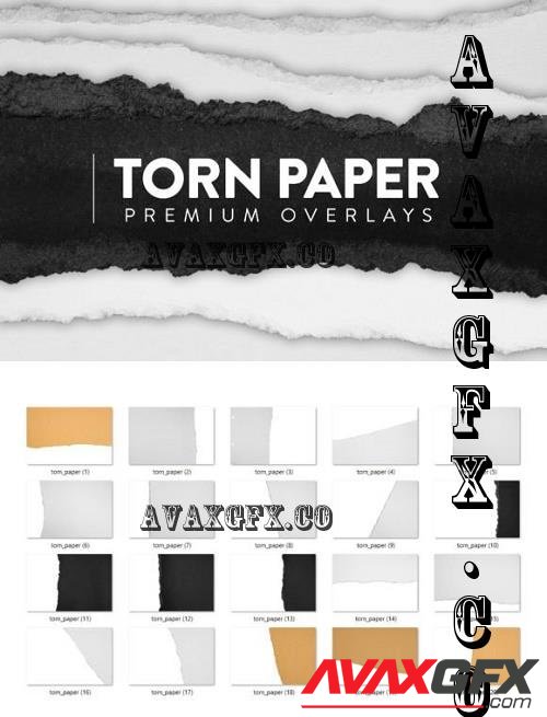 20 Torn Paper Overlay - 10951302