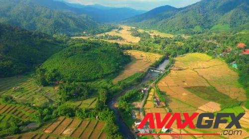 Aerial video of drones flying over rice and beautiful landscapes 41195263