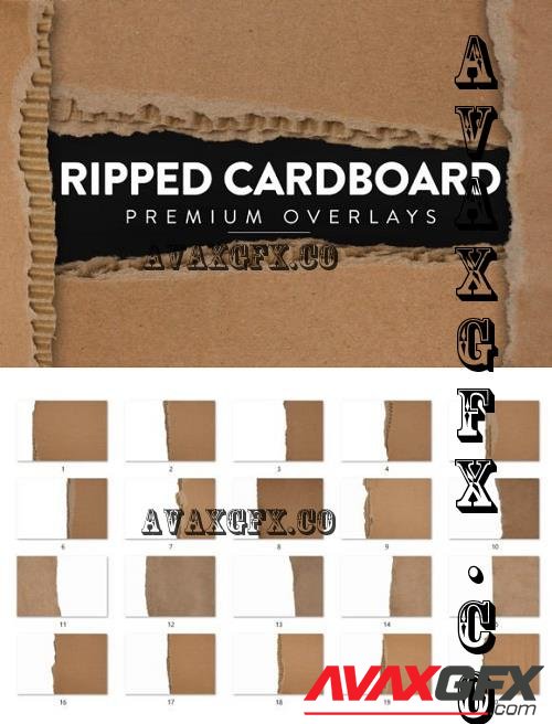 20 Ripped Cardboard Overlay