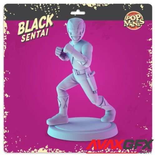 Pop Minis - Black Sentai