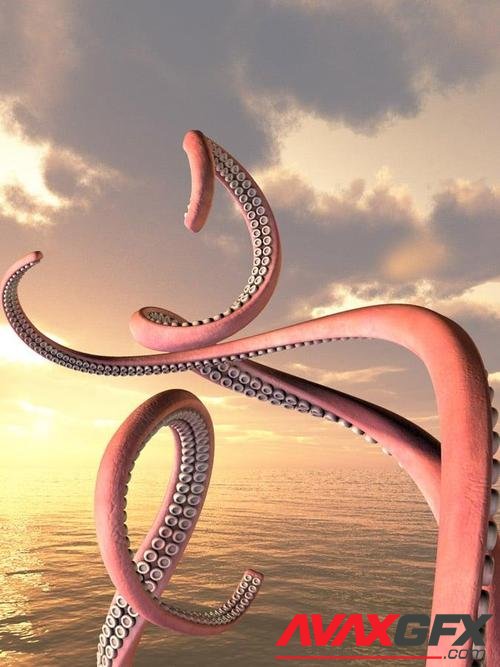 Octopus Tentacle