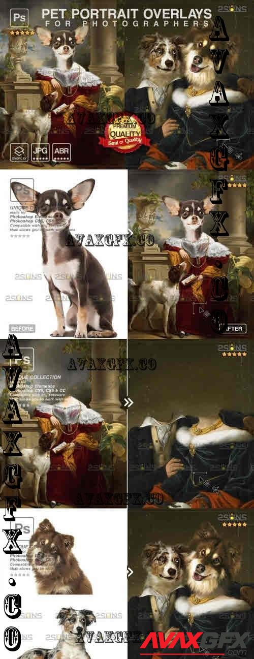 Royal pet portrait digital backdrop V25 - 10965346