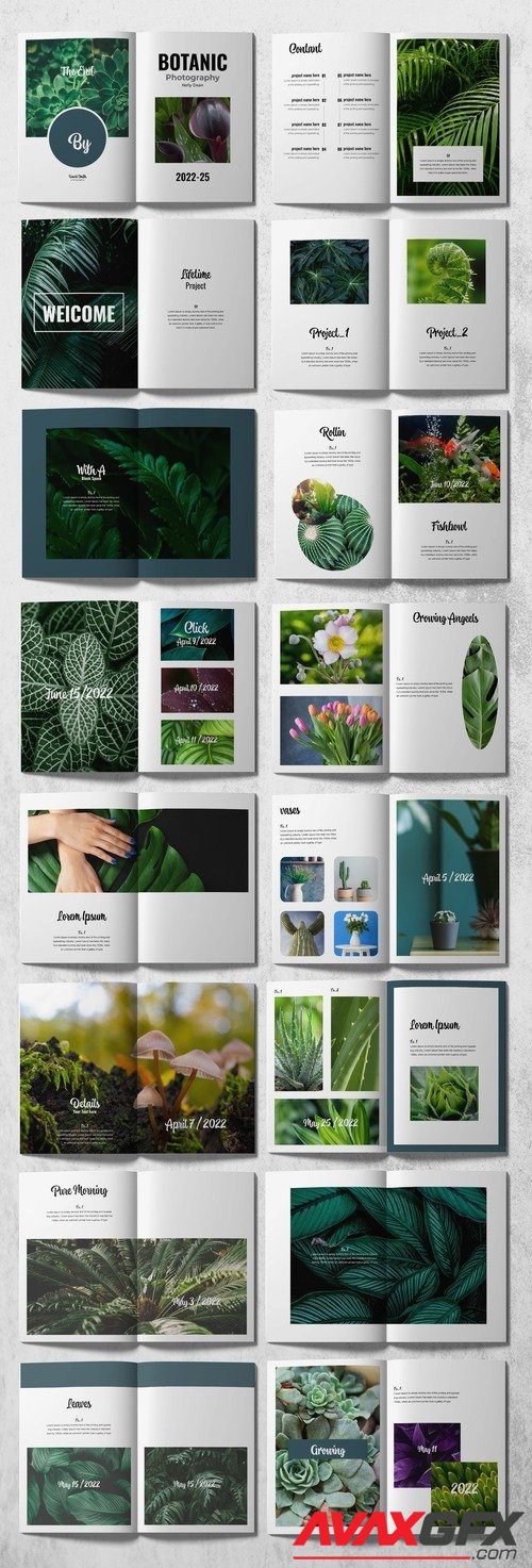 Adobestock - Botanic Multipurpose Creative Portfolio 513796783