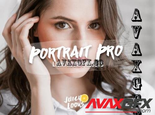 7 Portrait Professional Preset Lightroom