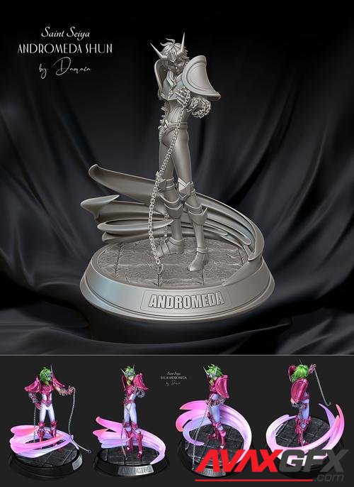 Saint Seiya - Andromeda Shun – 3D Print